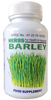 Picture of Herbs Barley