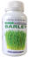 Picture of Herbs Barley